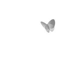 MSN